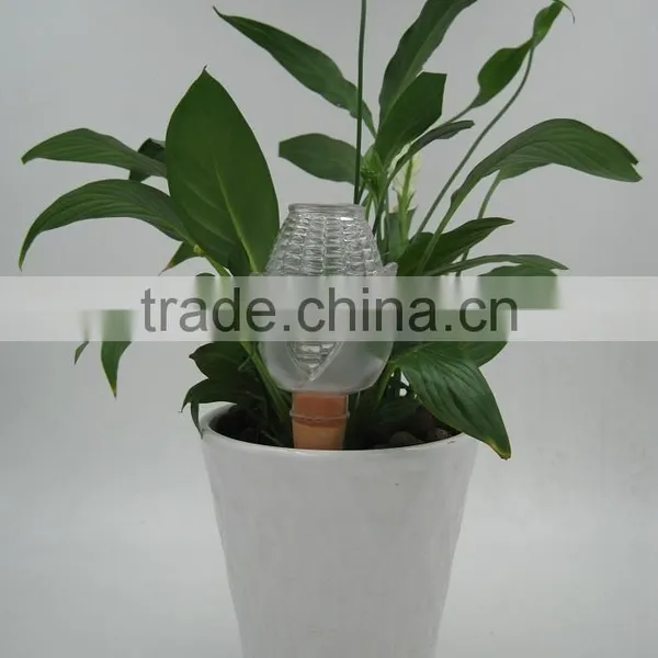 Corn Watering Spike photo-2