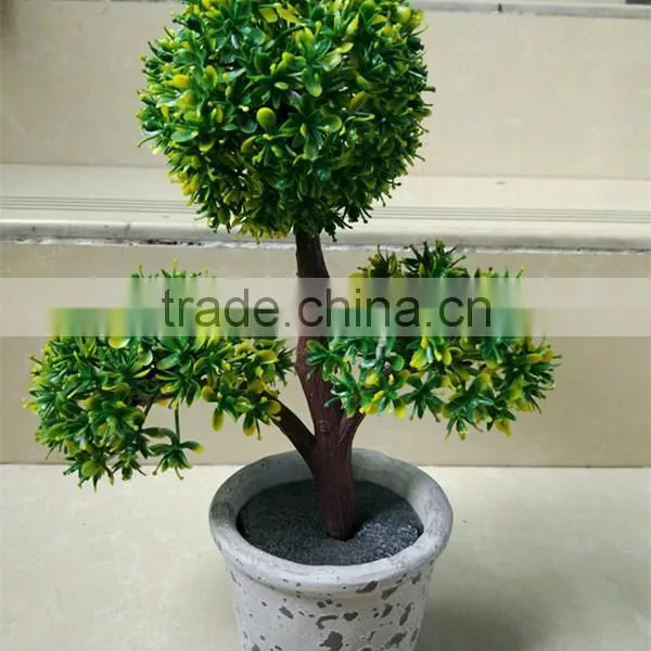 CHY060911 Guangzhou Shengjie High Quality Bonsai for Landscape photo-5