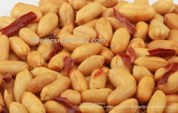 Single-Drum Peanuts Seasoning Machine photo-3