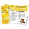 Catalog / Booklet / Leaflet / Brochure Advertising