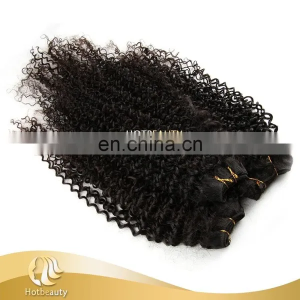 Top Quality Hot Sale Hair Weft Malaysian Hair Kinky Curly photo-5