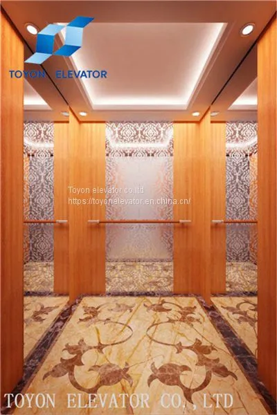 Toyon China Машина комнаты низкошумный пассажирский лифт Hyundai Lift лифт для дома Elevatorevator