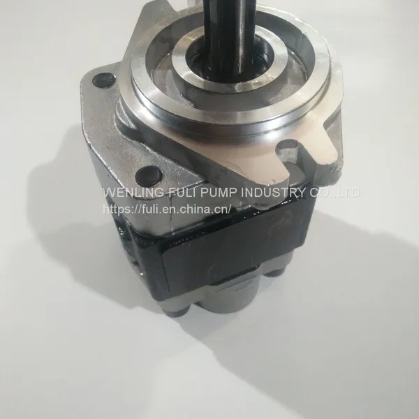 Fork Lift Pump Hydraulic Gear Pump for Tractor Pump photo-3