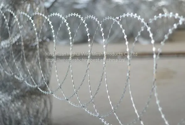 High Security Razor Wire Hot Dipped Galvanized Concertina Garden Fence With Razor Clips photo-5
