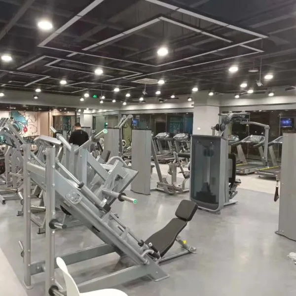 2022 Sport Equipment Fitness Commercial Leg Pressing Machine photo-4