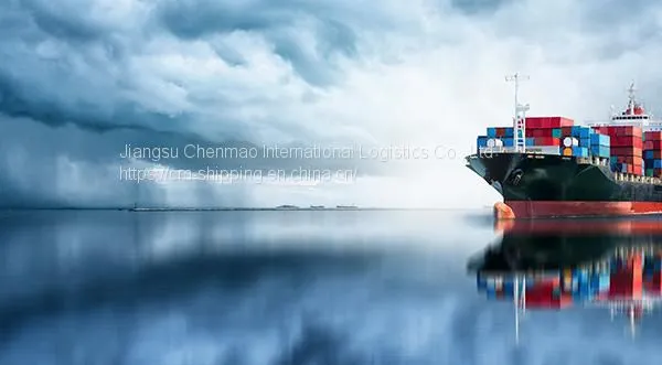 China Sea Shipping Agent Shipping Cost From China to USA LORAIN SAINT LOUIS LOS ANGELES photo-3