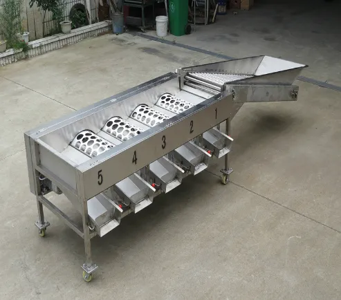 Vegetable Sorting Machine for Sale for Onion & Olive Sorting With Core PLC Components photo-5