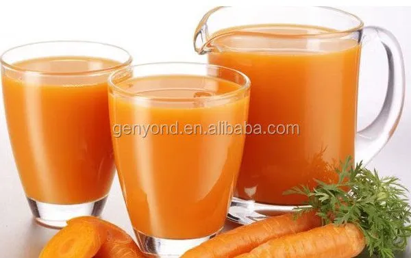 Small Size /small Capacity Milk /yoghurt /fruit Juice Production Line photo-5