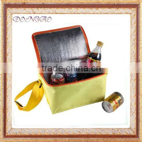 Cooler Bag for Frozen Food
