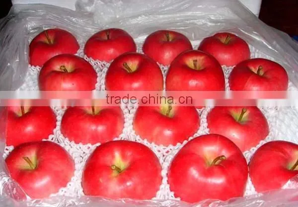 EPE Colorful Fruit and Vegetable Packaging Foam Nets photo-3
