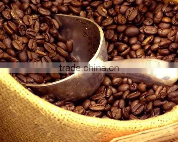 Roasted Coffee Bean