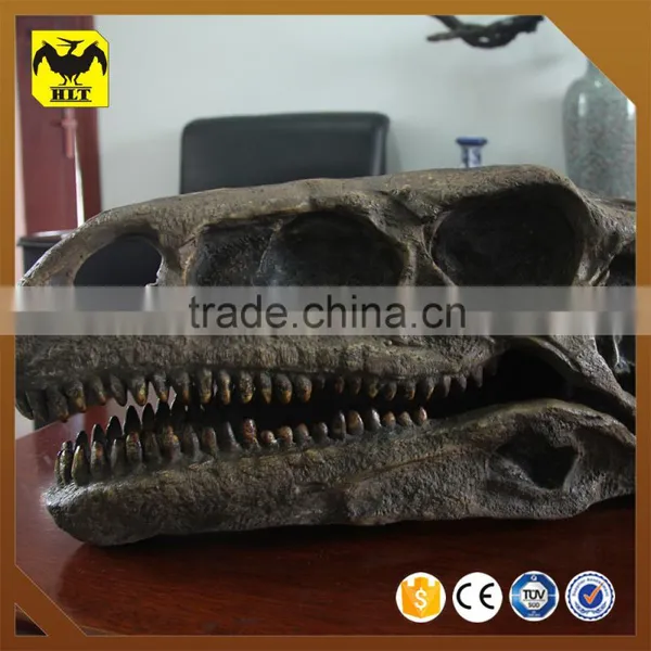 HLT Museum Quality Fiberglass Life-size Dinosaur Skeleton Model