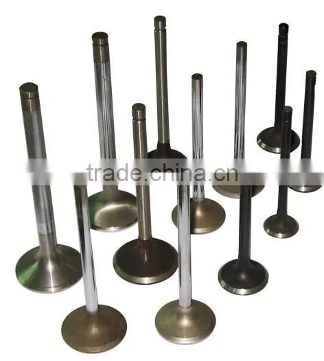 Changzhou Diesel Parts S195 Engine Valves photo-4