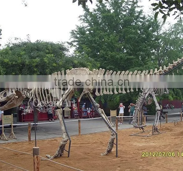 High Quality Dinosaur T-rex Fossil Model/Trade Assurance photo-3