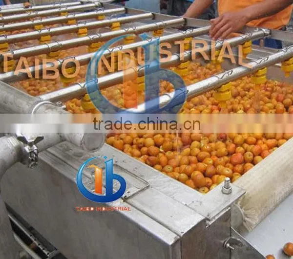Air Bubble Fruit and Vegetable Washer / Orange Washing Machine photo-2