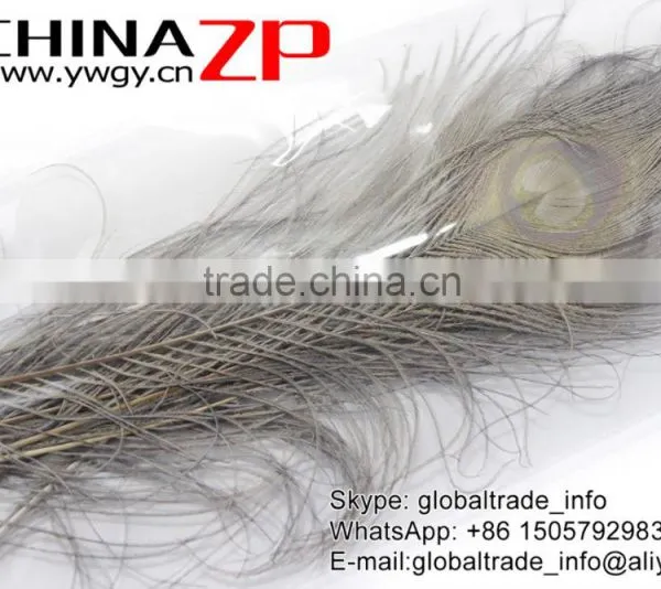 CHINAZP Leading Supplier Wholesale Cheap Full Eye Dyed Grey Long Peacock Tail Feathers photo-6