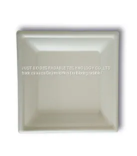 JUST Disposable Paper Pulp Bagasse Tableware Square Plate 8
