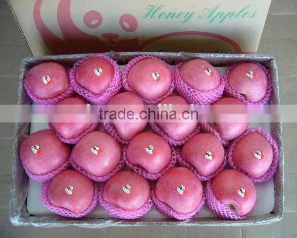 China Fresh Fruits Fully Blush photo-4