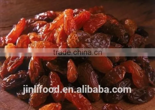China High Quality AA Sultana Raisin photo-3