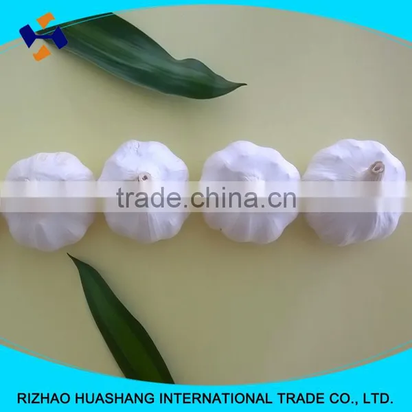 White Garlic Size4.5cm