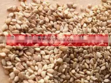 Sesame Seed Deep Brown