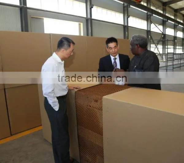 Fan and Paper Pad Poultry House Cooling System photo-2