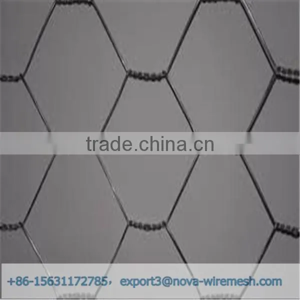 Low Cost Hexagonal Netting /chicken Wire Mesh/ Poultry Hexagonal Netting for Sale photo-2