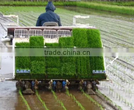 New Type Agricultural Equipment Kubota Rice Transplanter Machine Price Spw-48c photo-5