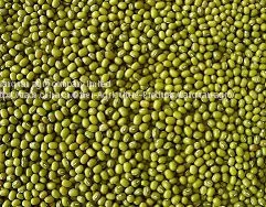 Green Mung Beans