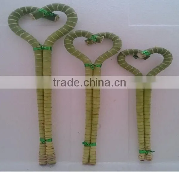 Lucky Bamboo ( Dracaena Sanderiana) Heart Arrangement photo-3