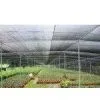 Sell Sunshade Net