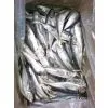 Supply Horse Mackerel photo-2