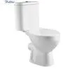 HT211 Washdown Two Piece WC Closet Sanitary WaresToilet