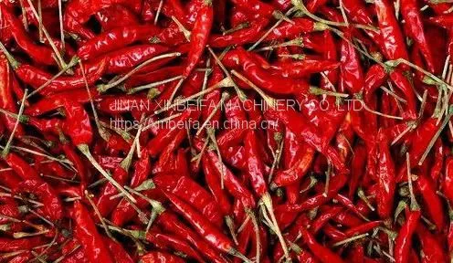 Pepper Drying Machine photo-5