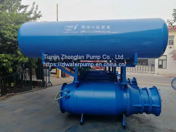 Buoy Axial-flow Pump