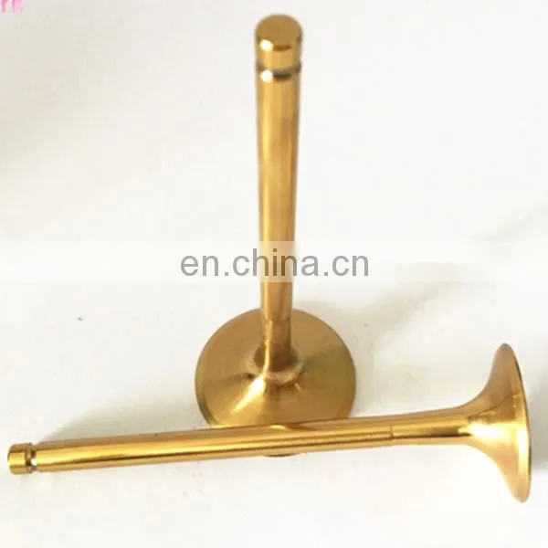 Custom Made Gas Motorcycle Spare Parts Engine Valve for Dayun 150 200 800 150cc 200cc 800cc photo-3