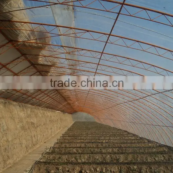 Chinese Style Sunlight Lean to Roof Solar Greenhouse Quality Choice photo-5