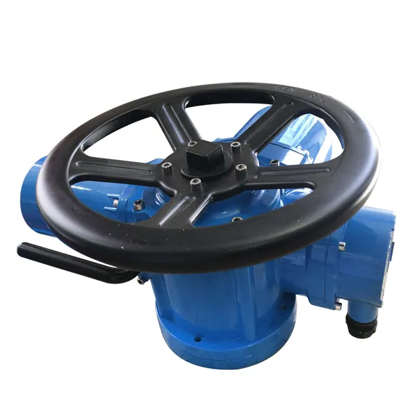 DZW Multi-rotary Electric Actuator photo-5