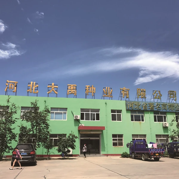 Hebei Dayu Seeds Co.,Ltd. company overview - view 1