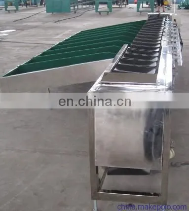 Factory Passion Fruit Roots Citrus Apple Processing Avocado Onion Size Grader Sorter Grading Sorting Machine photo-4