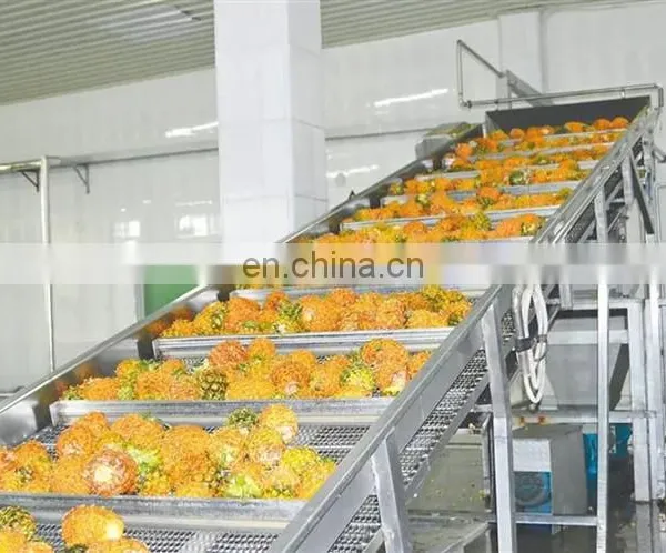 Top Quality Fresh Pineapple Juice Syrup Processing Machine photo-3
