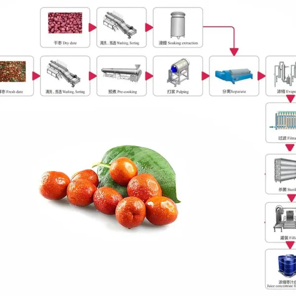 Turnkey Project Complete Set of Palm Dates Processing Line Date Syrup Production Line photo-2