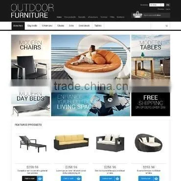 Web Development photo-3
