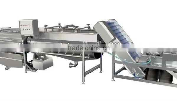 cherry tomato washing machine Cherry tomato washer fruit washer