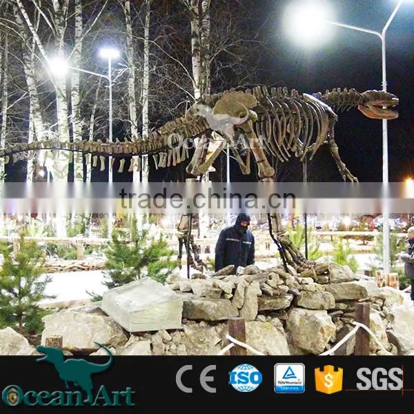 OAV2413 High Quality Dinosaur Skeleton Model photo-3