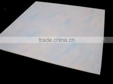 Manufacture Qualified Plastic Interior Design Ceiling, Hall False Ceiling Designs photo-5