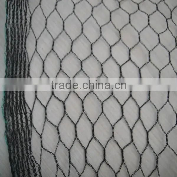 Hdpe Anti Bird Netting photo-4
