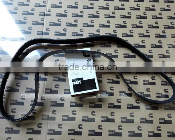 Cummins ISM/QSM/M11 Diesel Engine Belt v Ribbed 3103697 photo-2