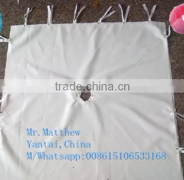 Filter Press Cloth With Lower Price in Overseas photo-2