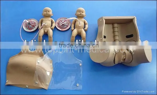 Birth Giving Model Medical Model Training Model photo-2